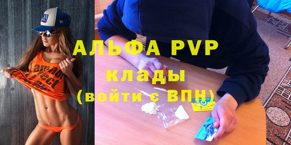 амф Козловка