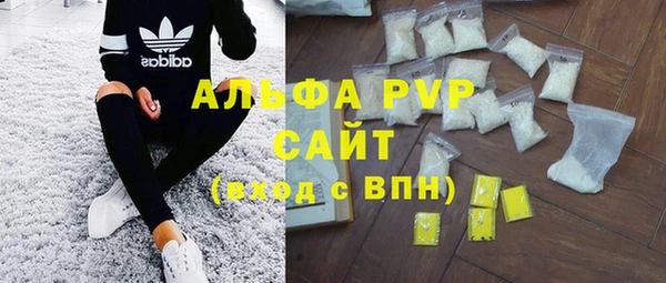 амф Козловка