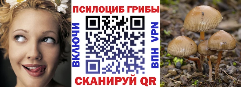 Галлюциногенные грибы MAGIC MUSHROOMS  Купить  Всеволожск 